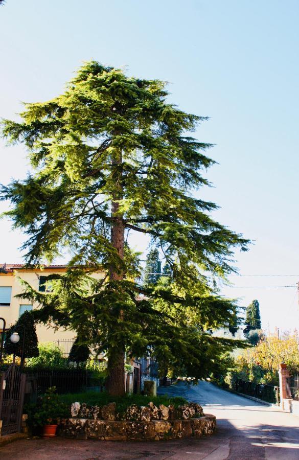 La Torre Di Caprera Apartment Сиена Екстериор снимка